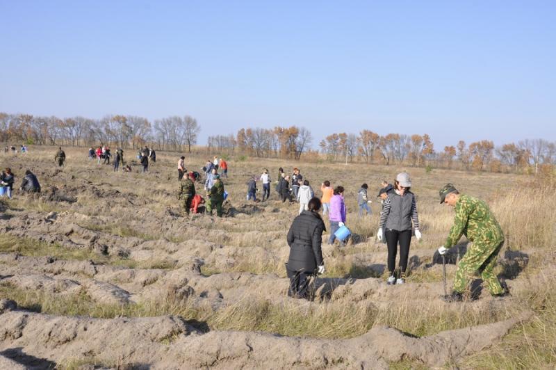 В очередной раз в озеленении района корочанцам оказали помощь работники аппарата Белгородской областной Думы